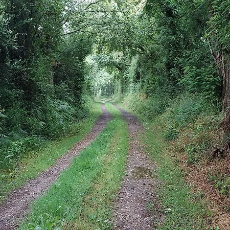 Chez Auguste 度假居 *