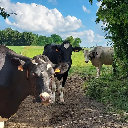 度假居 Chez Auguste Saint-Erblon (Mayenne)