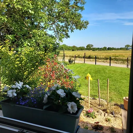 Chez Auguste * Saint-Erblon (Mayenne)