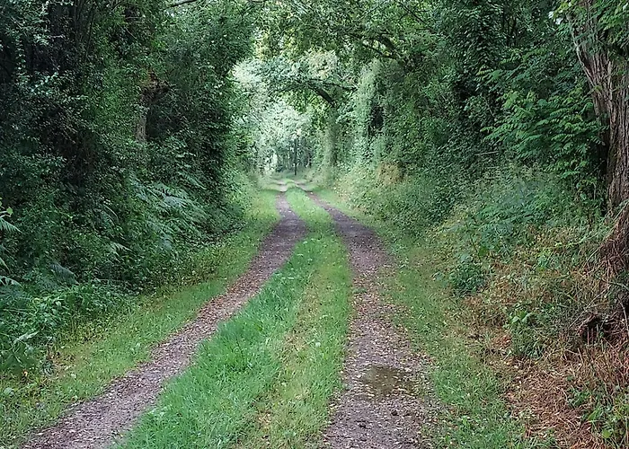 Chez Auguste Ferienhaus *