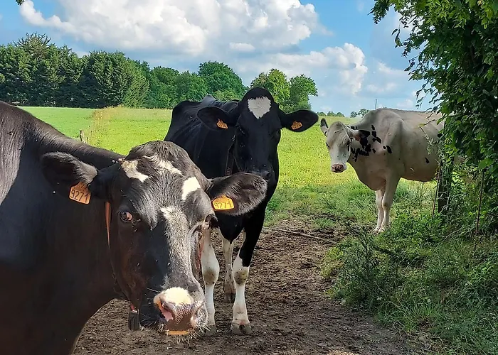 Ferienhaus Chez Auguste Saint-Erblon (Mayenne)
