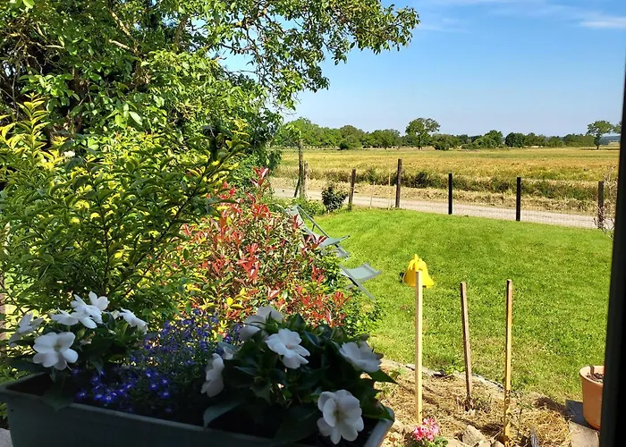 Chez Auguste * Saint-Erblon (Mayenne)